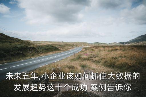未來五年,小企業(yè)該如何抓住大數(shù)據(jù)的發(fā)展趨勢這十個成功 案例告訴你