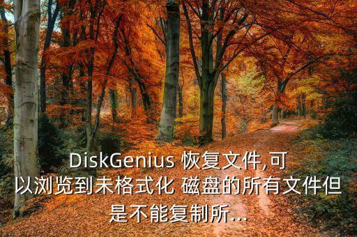 DiskGenius 恢復(fù)文件,可以瀏覽到未格式化 磁盤的所有文件但是不能復(fù)制所...
