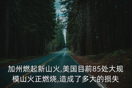 加州燃起新山火,美國(guó)目前85處大規(guī)模山火正燃燒,造成了多大的損失