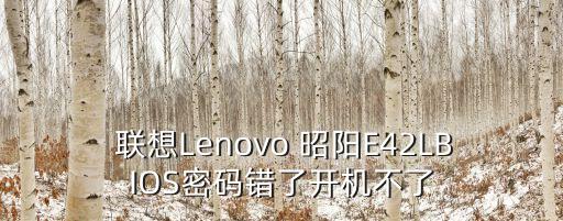  聯(lián)想Lenovo 昭陽E42LBIOS密碼錯了開機(jī)不了
