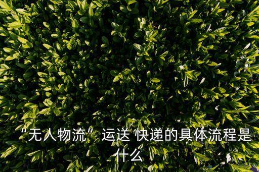 “無(wú)人物流”運(yùn)送 快遞的具體流程是什么