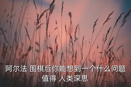 阿爾法 圍棋后你能想到一個(gè)什么問(wèn)題值得 人類深思