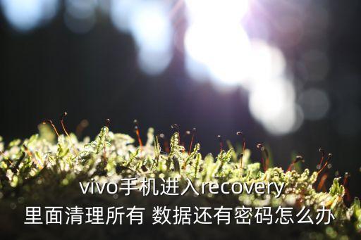 vivo怎樣清除數(shù)據(jù)解鎖