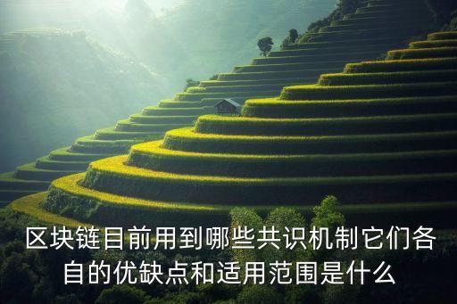  區(qū)塊鏈目前用到哪些共識(shí)機(jī)制它們各自的優(yōu)缺點(diǎn)和適用范圍是什么
