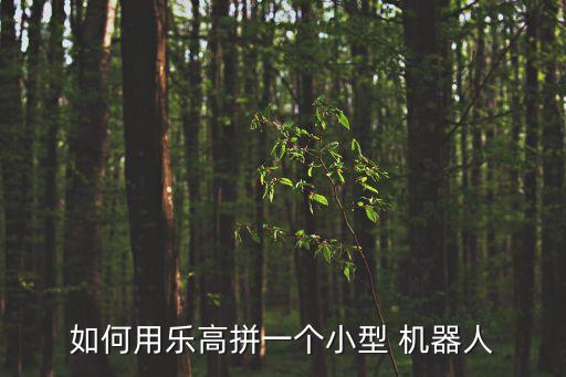如何用樂高拼一個小型 機器人