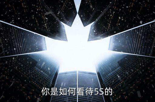 你是如何看待5S的