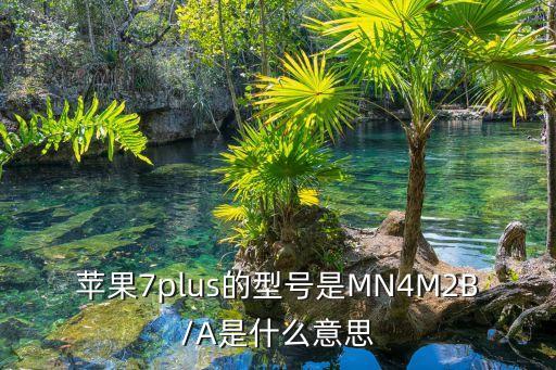 蘋果7plus的型號是MN4M2B/A是什么意思