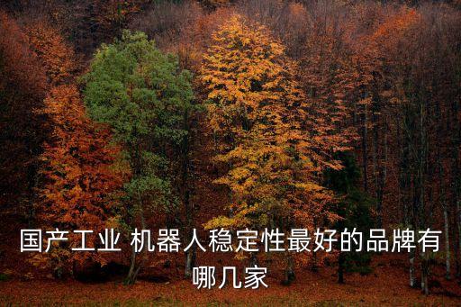 國產(chǎn)工業(yè) 機(jī)器人穩(wěn)定性最好的品牌有哪幾家