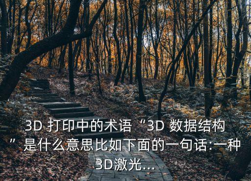 3D 打印中的術(shù)語“3D 數(shù)據(jù)結(jié)構(gòu)”是什么意思比如下面的一句話:一種3D激光...