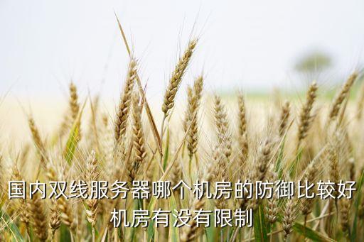 國內(nèi)雙線服務器哪個機房的防御比較好機房有沒有限制