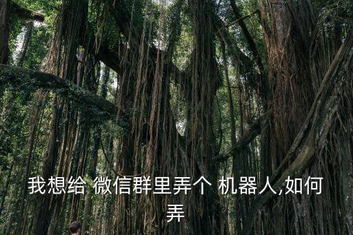 微信機(jī)器人制作,微信轉(zhuǎn)碼機(jī)器人怎么制作