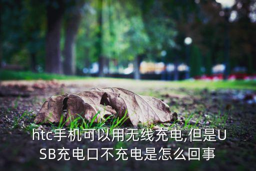  htc手機(jī)可以用無線充電,但是USB充電口不充電是怎么回事