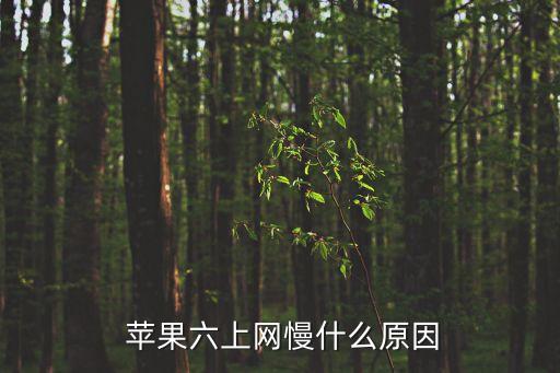  蘋果六上網(wǎng)慢什么原因