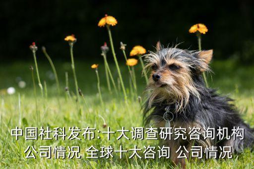 全球大數(shù)據(jù)公司排名,全球數(shù)據(jù)科學碩士排名