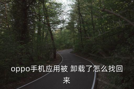 卸載不能清除數(shù)據(jù)恢復(fù),易極數(shù)據(jù)恢復(fù)是什么軟件可以卸載嗎