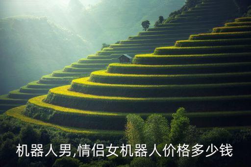 情侶機(jī)器人男,情侶女機(jī)器人價格多少錢