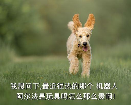 我想問下,最近很熱的那個 機器人 阿爾法是玩具嗎怎么那么貴啊!