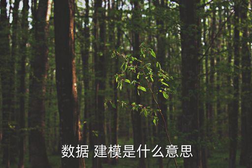  數(shù)據(jù) 建模是什么意思
