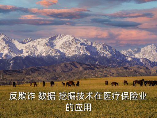 反欺詐 數(shù)據(jù) 挖掘技術(shù)在醫(yī)療保險(xiǎn)業(yè)的應(yīng)用