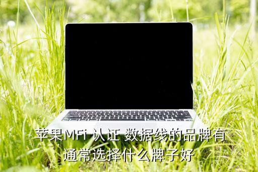  蘋(píng)果MFi 認(rèn)證 數(shù)據(jù)線(xiàn)的品牌有通常選擇什么牌子好