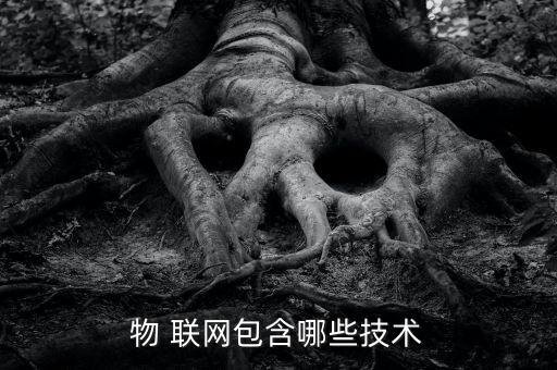 物 聯(lián)網(wǎng)包含哪些技術(shù)