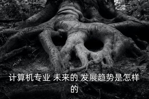 計算機專業(yè) 未來的 發(fā)展趨勢是怎樣的