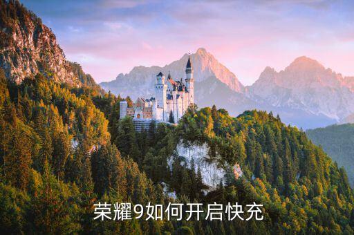  榮耀9如何開啟快充