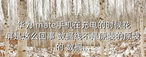 華為mate數(shù)據(jù)線真假
