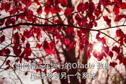 oracle 遷移數據文件,Oracle resize數據文件