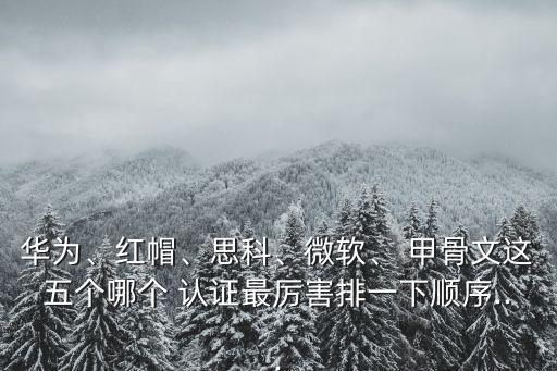 華為、紅帽、思科、微軟、 甲骨文這五個(gè)哪個(gè) 認(rèn)證最厲害排一下順序...