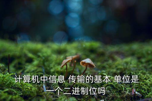  計(jì)算機(jī)中信息 傳輸?shù)幕?單位是一個(gè)二進(jìn)制位嗎