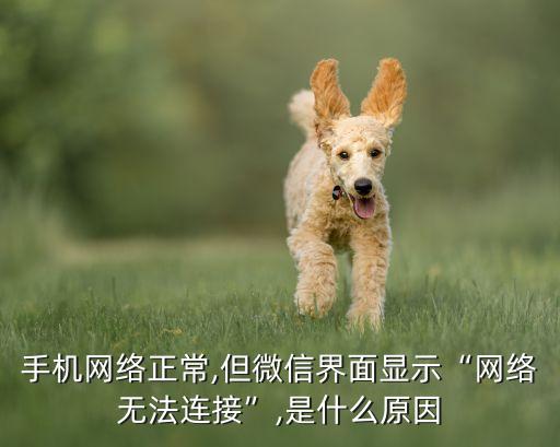 手機網(wǎng)絡(luò)正常,但微信界面顯示“網(wǎng)絡(luò)無法連接”,是什么原因