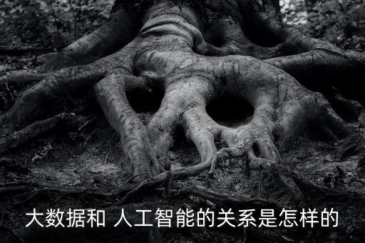 大數(shù)據(jù)和 人工智能的關(guān)系是怎樣的