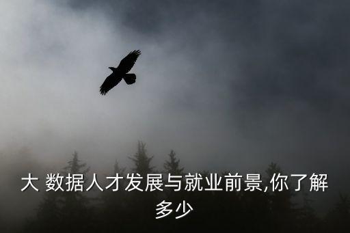 大 數(shù)據(jù)人才發(fā)展與就業(yè)前景,你了解多少