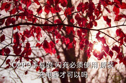 OPPO手機(jī)的 閃充必須使用 原裝充電器才可以嗎