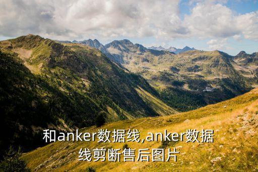 品勝和anker數(shù)據(jù)線,anker數(shù)據(jù)線剪斷售后圖片