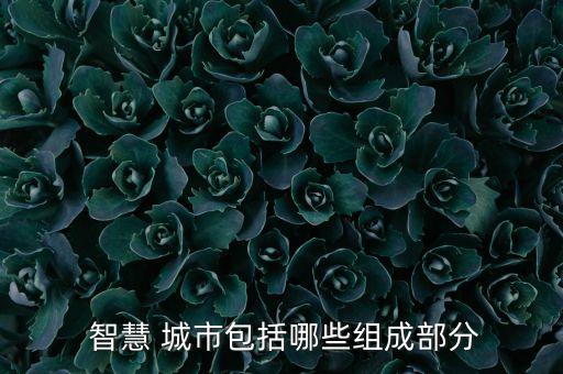  智慧 城市包括哪些組成部分