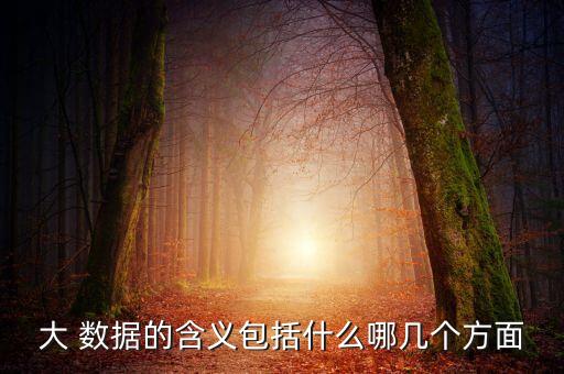 大 數(shù)據(jù)的含義包括什么哪幾個方面