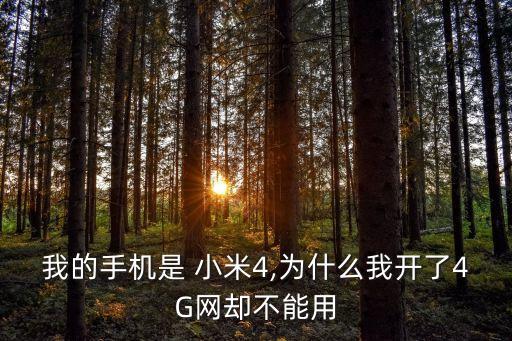 小米4打開(kāi)數(shù)據(jù)上網(wǎng)怎么回事啊,小米wifi不可上網(wǎng)怎么回事