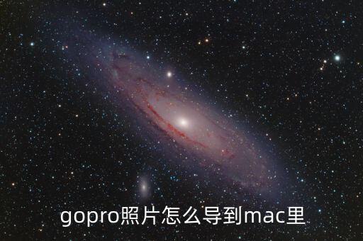 gopro 數(shù)據(jù)線
