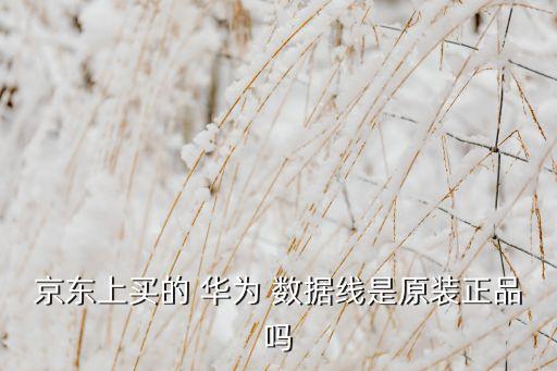 華為假數(shù)據(jù)線,華為怎么關(guān)閉數(shù)據(jù)線原裝提示