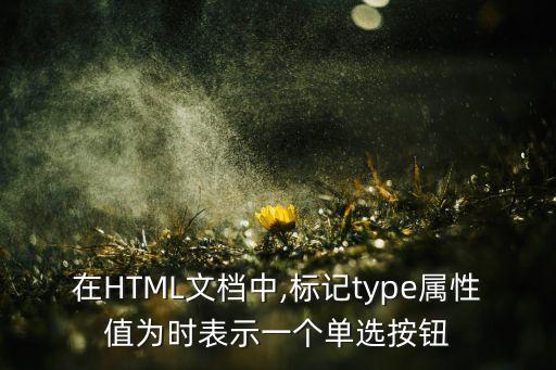 在HTML文檔中,標記type屬性值為時表示一個單選按鈕
