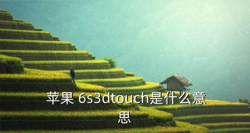  蘋果 6s3dtouch是什么意思