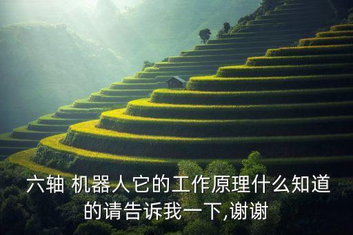  六軸 機(jī)器人它的工作原理什么知道的請(qǐng)告訴我一下,謝謝