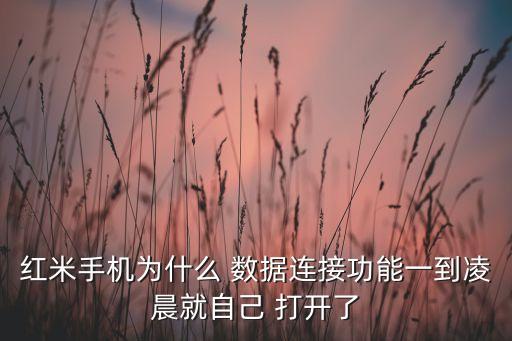紅米手機(jī)為什么 數(shù)據(jù)連接功能一到凌晨就自己 打開了