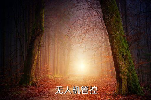  無(wú)人機(jī)管控