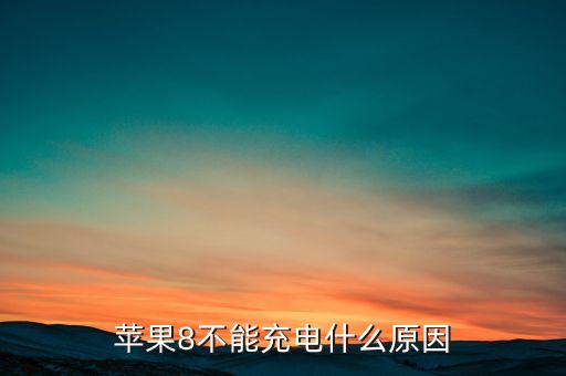 蘋果8不能充電什么原因
