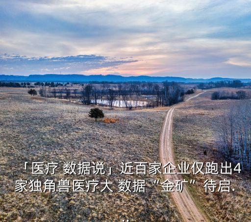 「醫(yī)療 數據說」近百家企業(yè)僅跑出4家獨角獸醫(yī)療大 數據“金礦”待啟...