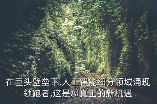 在巨頭壁壘下,人工智能細(xì)分領(lǐng)域涌現(xiàn)領(lǐng)跑者,這是AI真正的新機(jī)遇