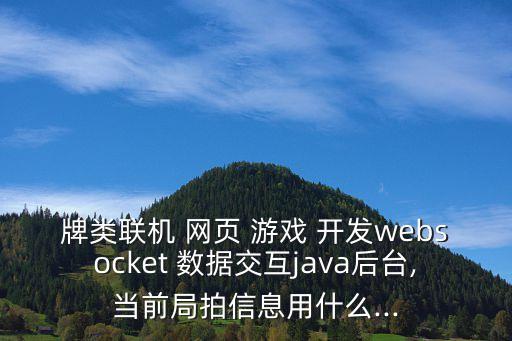 牌類聯(lián)機(jī) 網(wǎng)頁 游戲 開發(fā)websocket 數(shù)據(jù)交互java后臺(tái),當(dāng)前局拍信息用什么...